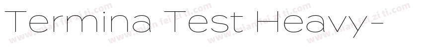 Termina Test Heavy字体转换